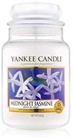 YANKEE CANDLE 1129555E Bougie Votive Midnight Jasmin de Minuit 49 g, Blanc