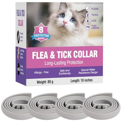 Flea Collar for Cats 4 Pack 8 Months Long-Term Protection Natural Waterproof Kitten Flea Collar Suitable for All Cats