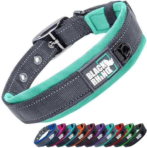 Black Rhino el Comfort Collar Collar de Perro Ultra Suave Neopreno Acolchado para Todas Las Razas de Altas prestaciones Ajustable Reflectante Resistente a la Intemperie (Grande, Aqua/Gris)