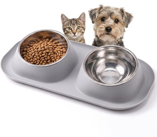 Suhaco Double Dog Bowl Raised Dog Food Bowl Non Slip Stainless Steel Double Bowls with Non-spill for Small Dogs and Cats (Grey)