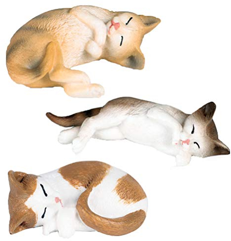 JOKFEICE Tierfiguren 3 Stück Realistische Kunststoff Katze Figuren Action Modell Wissenschaft Projekt, Lernen Pädagogisches Spielzeug, Geburtstag Geschenk, Kuchen Topper für Kinder Kleinkinder