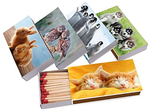 jameitop®XL Streichholzschachteln Tier Motive: 10 x 50er Packungen / 10cm Hund/Katze/Hase/Vögel Streichhölzer Zündhölzer