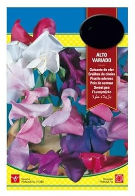 Semillas Guisante Olor DECOALIVE Semillas Guisante Trepador Flores de Olor