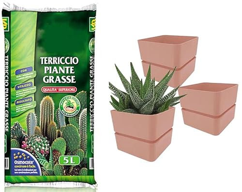 Virsus Kit Sacca Terriccio Piante Grasse 072 da 5LT + 3 Vasi quadrati con sottovaso 312 misura 12x11cm, Terriccio elevata capacità drenante, vaso per interno ed esterno per piante grasse (Old Rose)
