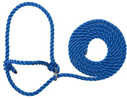 Weaver Leather Livestock Kirk Stierwalt Breaking Halter, 8 1/2', Blue