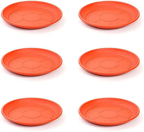 Genérico (Pack 6) Plato para Maceta Plástico PVC/Platillo Maceta / 20cm, 22cm, 24cm, 26cm, 28cm, 30cm / Bandeja de Plástico para Maceta (Marrón)