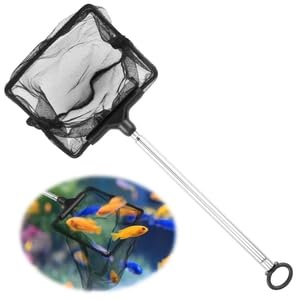 10cm Filet pour la pêche en Aquarium avec 16 à 40 cm Poignée Extensible, Aquarium Petit Épuisette, Télescopique Epuisette Aquarium Maille pour Aquariums Bassins Réservoir de Poissons【10 * 8CM】