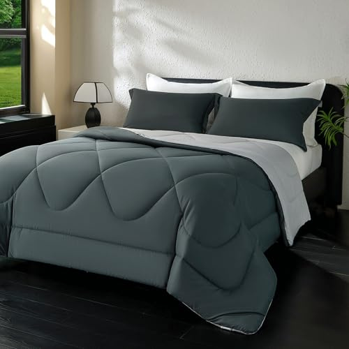 beeweed Couette 300GSM en Microfibre, Certifiée Oeko-TEX, Édredon Lit 2 Personnes 200x200 cm, Toutes 4 Saisons et Hiver pour Lit 140x190 160x200, Chaud Épais Garnissage 300g/m², 2 Taie d'oreiller