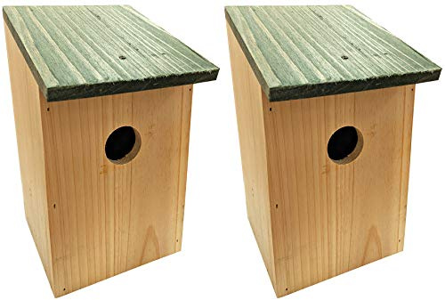 2 x Bird Nesting Boxes – Wooden Nest Houses with Hinged Roof – Birdhouses for UK Gardens & Wild Birds – Tree & Wall Mountable Nest Box