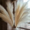 Juego de 8 falsas hierbas de Pampa beige de 110 cm, flores artificiales grandes y esponjosas de la Pampa, largas flores de plumas para arreglo de boda bohemio, decoración de salón