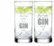 4you Design 2-er Set Gin Gläser mit Sprüchen – Geschenkidee zu Weihnachten für Männer & Frauen – Wichtelgeschenk für Arbeits-kollegen – Spülmaschinenfest – Geschenk zum Geburtstag