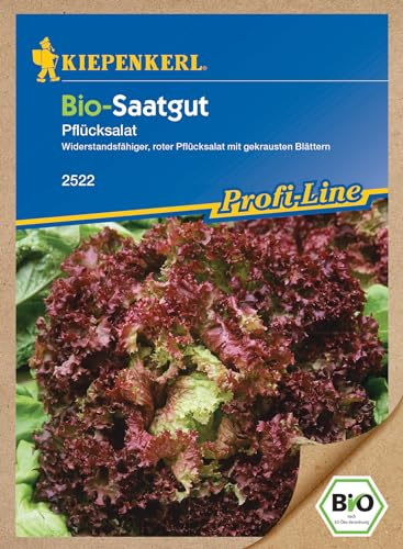 Kiepenkerl Profi-Line BIO Pflücksalatsamen 2522 - Pflücksalat - Widerstandsfähiger, roter Pflücksalat mit gekrausten Blättern - Salat Pflanze, Saatgut