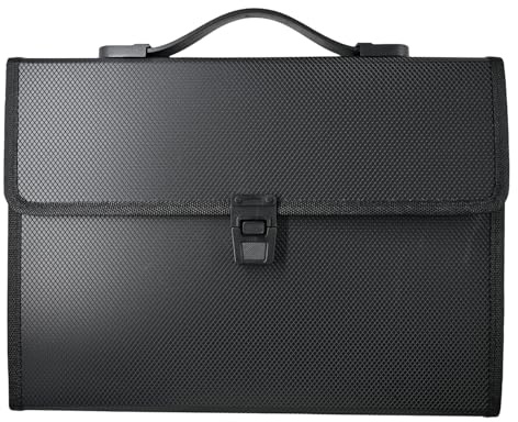 Cartella portadocumenti espandibile con 13 tasche, con manico, formato A4, a fisarmonica, con etichette, impermeabile, per scuola, ufficio, casa, colore nero