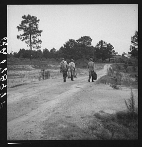 HistoricalFindings Photo: Turpentine,Georgia,GA,Farm Security Administration,FSA,Dorothea Lange,1937