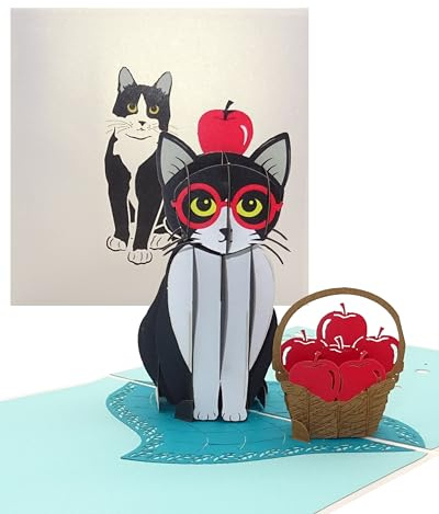 Pop up-kort Cat Tuxedo Cat roligt 3D-födelsedagskort och inbjudningskort med kuvert som kupong presentidé och kattdekoration