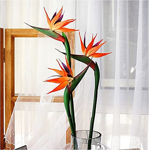 JOSON 3 PCS 32 Inch Orange red Large Bird of Paradise Permanent Flower,Flower Part is Made of Soft Rubber PU No Fade,Artificial Flower Plants for Home Office, Flower Stem 0.5 Inch