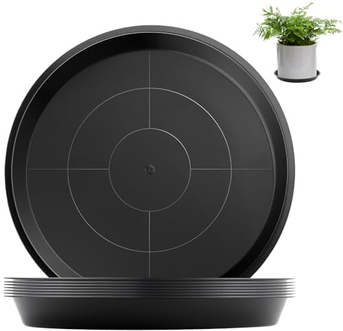 Sturiz 8 Pièces Coupelle Pot de Fleur Soucoupe sous Coupe Dessous Pot Fleur 12 Cm Rond Noir Soucoupes pour Pots de Fleurs Soucoupe Jardiniere pour Plantes D'Intérieur et D'Extérieur