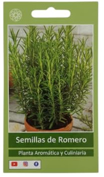 Semillas de Romero Aromático para Huerto Urbano y Jardín Mediterráneo | Cultivo Fácil en Maceta con DECOALIVE