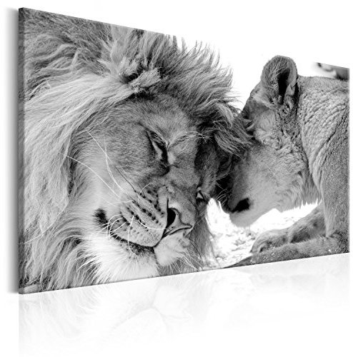 murando Cuadro Acústico espuma acústica absorbe el sonido aislamiento lienzo de 1 pieza Impresión Artística Decoración de Pared