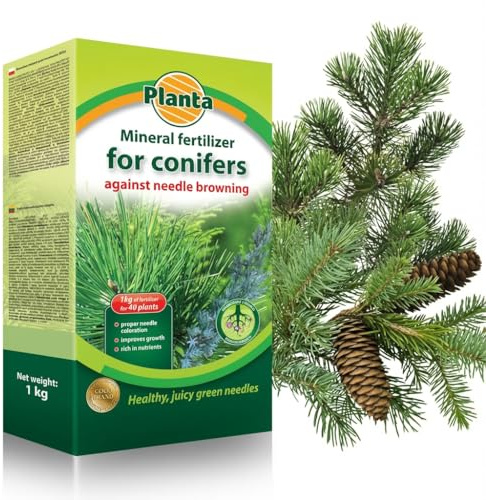 Magnesium Fertiliser 1kg Anti-Browning for Conifers Evergreen MgO+SO3 16+32