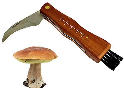 Coltello per Funghi a Serramanico, Tascabile, con Spazzola e Righello, Manico in Legno, Lama in Acciaio Inox, Fodera in Nylon inclusa