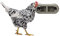 Beeztees Feeder, Hühnerzubehör, Futterspender für Hühner, 30x14x13 cm grau