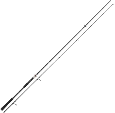 DAIWA Exceler Spin 802H, 2 Teile, 2,40m, 40-80g, Spinn-Angelrute, 11662-242