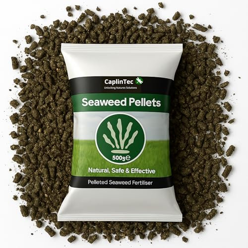 CaplinTec Seaweed Fertiliser Pellets – Organic Plant Foodd for Gardens, Pots & Beds, Fast-Acting, Easy to Use Lawn Fertilizer, Nutrient-Rich & Sustainable Feed, 500 Grams
