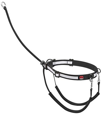 Mikki Harnais de dressage anti-traction Avec collier réfléchissant Taille XL