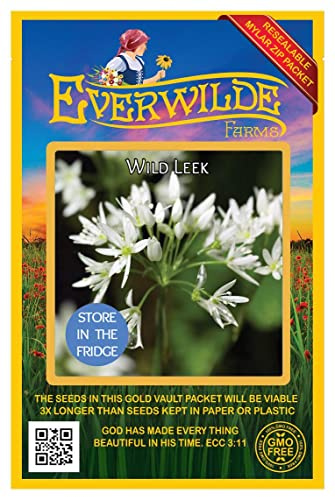 Everwilde Farms - 15 Wild Leek Native Wildflower Seeds - Gold Vault Seed Packet