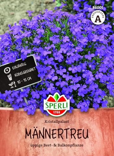 Sperli Männertreusamen Kristallpalast 86005 - tiefblaue reichblühende Balkonblume für Balkonkästen, Ampeln und Kübel, kompakte einjährige Sommerblume für sonnige bis halbschattige Standorte