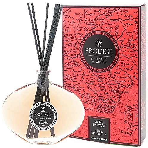 DIFFUSEUR DE PARFUM SABINA - VIGNE SAUVAGE (raisin groseille)