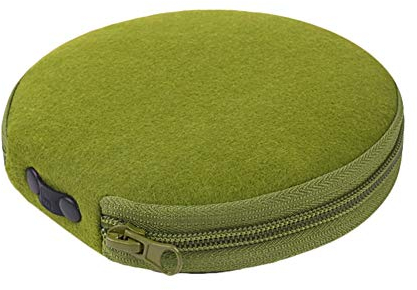 Insun CD VCD DVD Hüllen Tragbare Aufbewahrung Tasche aus Filz Disc Halter für Auto Grün für 20 CDs