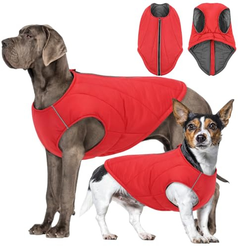 CITÉTOILE Abrigo para Perros Invierno – Chaqueta Impermeable de Nylon Relleno de Algodón, con Tiras Reflectantes y Cremallera – Diseño Clásico para Climas Fríos Rojo S