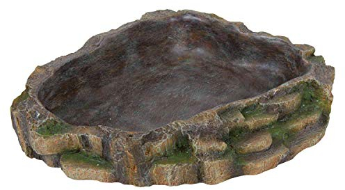 Trixie 76205 Wasser- und Futterschale für Reptilien, 24 × 5,5 × 20 cm, beige