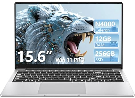 15.6 Pulgadas Ordenador Portatil, Win 11 PC Portátil Celeron N4000 CPU, Portátil con 12GB LPDDR4 256GB SSD, 1920*1080 IPS FHD Pantalla Laptop, TF Card Slot expansión hasta 1 TB, Mini HDMI+BT4.2