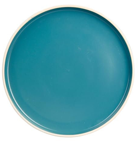 GENEVIEVE LETHU 536316 Assiette Plate Modèle AEKI Ø 26,5 cm - Assiette d'inspiration scandinave Bleu en Grés