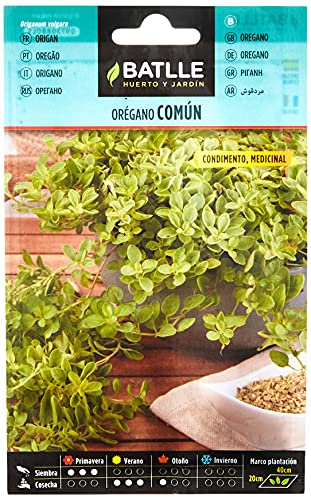 Graines aromatiques de Batlle - Origan commun (0,5g), vert