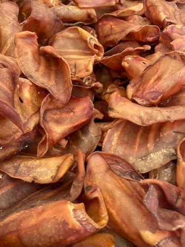 PAWS PARADISE 100 x QUALITY HEAVY BRITISH GRADE A PIGS EARS