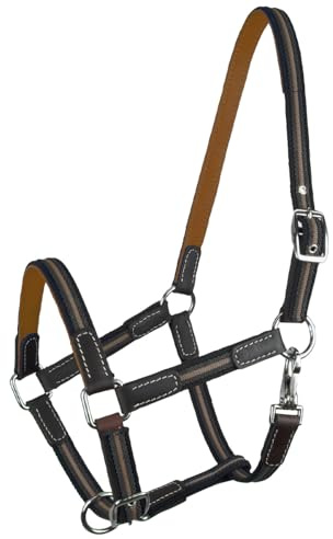 Brama West Cabestro caballo Ruby | 2 posiciones ajustables con inserciones de cuero | cabestro de pastoreo (naranja, completo)