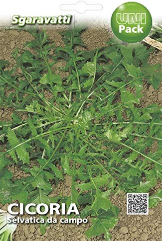 SGARAVATTI Busta Semi Orto Cicoria Selvatica da Campo