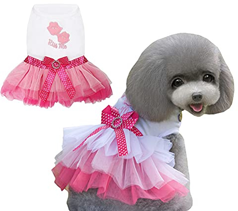 Izefia Hundklänning lyxig valpkjol hundkläder prinsessklänningar bröllop aftonklänning tutu kjol röda läppar rosett klänning för liten hund flicka (XL, röd)