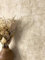 NEWROOM Papier peint Beige Béton Intissé - Moderne Crème Enduit Lave Industriel