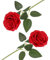 arrderly Rote künstliche Rosen, künstliche Rosen mit Stiel, realistische dekorative Blumen für Hochzeit, Haus, Garten, Geburtstagsparty, Dekoration, Rot, 2 Stück
