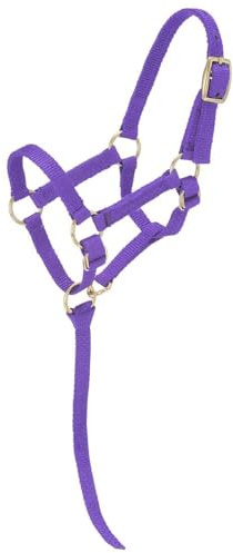 Tough 1 Miniature Nylon Halter, Purple, Large Mini