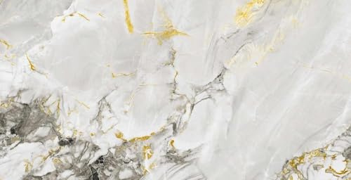 Gres24 Prestige Elegant Porto Gold, Piastrella da Pavimento e Rivestimento, Effetto Marmo, Oro Lucido, Gres Porcellanato, 60x120 cm, Finitura Glossy, Superficie Liscia, 2 Lastre, 1,44m²