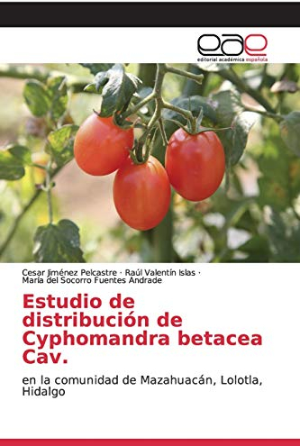 Estudio de distribución de Cyphomandra betacea Cav.: en la comunidad de Mazahuacán, Lolotla, Hidalgo