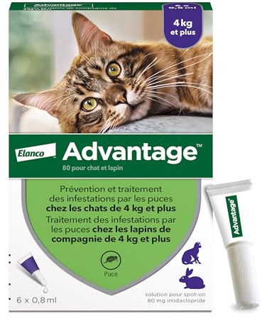 Advantage Chat & Lapin de plus de 4 kg – Pipettes anti puces chat pour prévention des infestations – Traitement anti puces lapin pour une protection en continu pendant 3 à 4 semaines – 6 x 0,8 ml