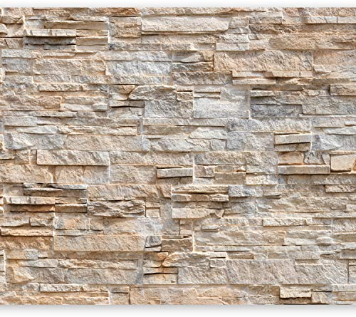 murando - Vlies Fototapete Steinwand 400x280cm Foto Tapete Schlafzimmer Wohnzimmer Vliestapete XXL Motivtapeten Bildtapete 3d Effekt Wand Dekoration - Steinoptik Stein 3d Effekt f-B-0018-a-c