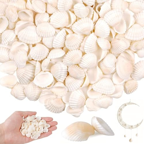 ZHYTUAL 150 Pedazos de Shell Shell Natural Blanco 2.5-4cm para Conchas de Artesanía Shell DIY para El Collar Conchas de Mar Decoracion Caracolas de Mar